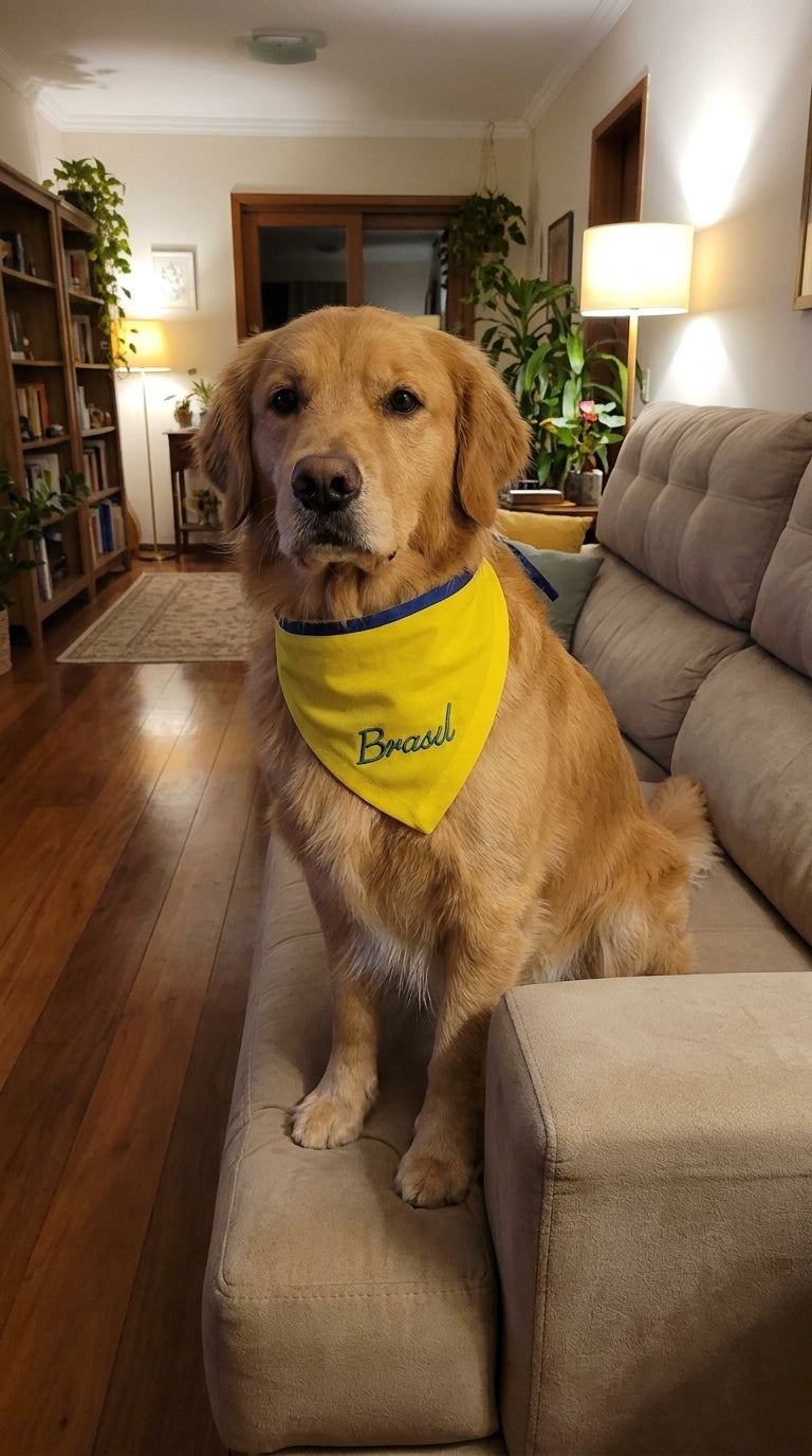 Bandana pet Brasil amarela bordada modelo Brasil Raiz para cachorro e gato