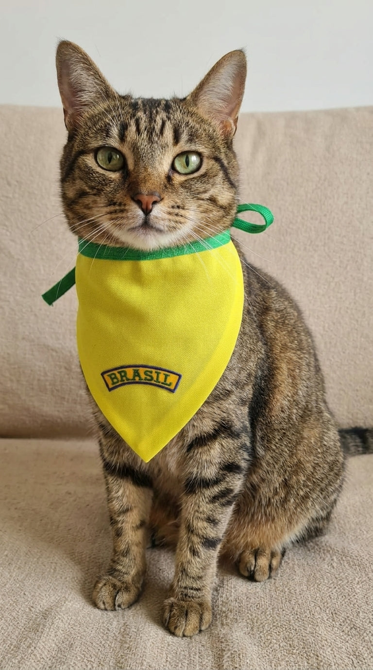 Bandana pet Brasil amarela bordada modelo Canarinho para cachorro e gato