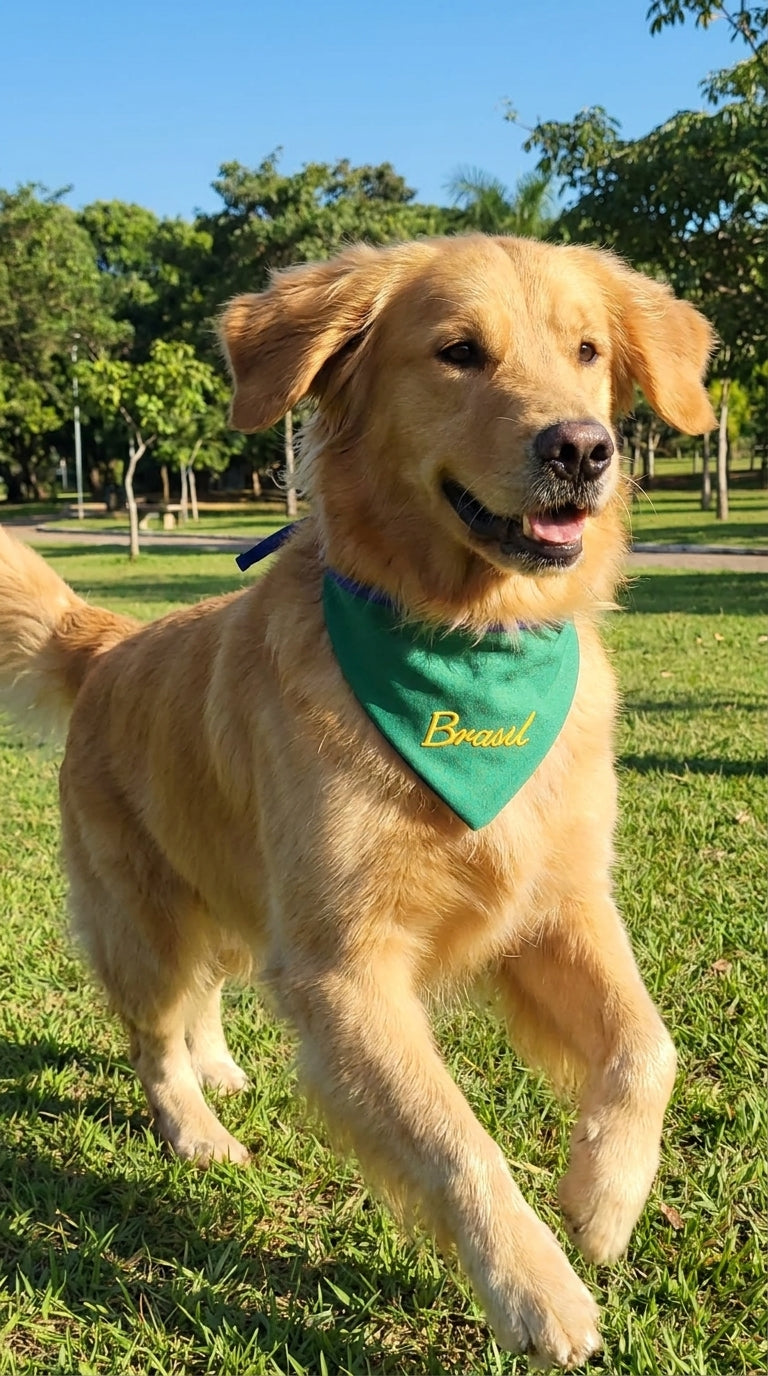 Bandana pet Brasil verde bordada modelo Verde Premium para cachorro e gato