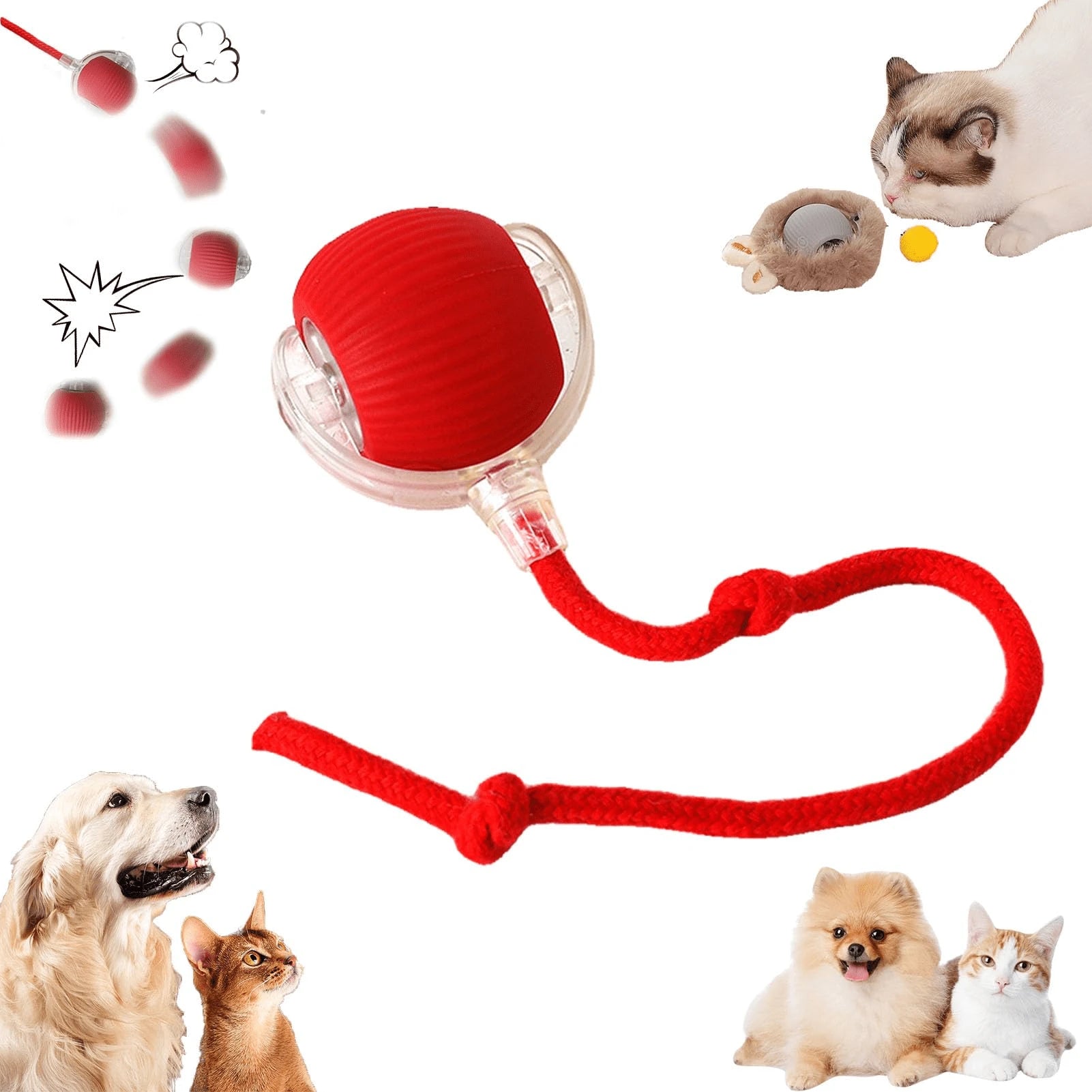 🐾 Bola Interativa Automática para Gatos com Sensor de Gravidade – Recarregável USB - Doca Express