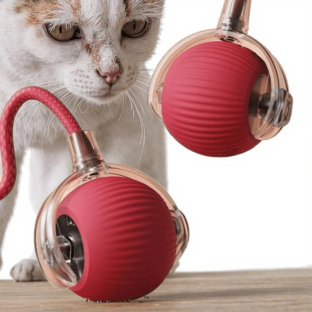 🐾 Bola Interativa Automática para Gatos com Sensor de Gravidade – Recarregável USB - Doca Express