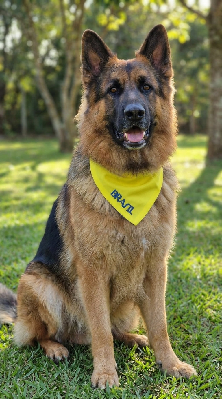 Bandana Pet Brasil Amarela com Detalhe Azul Bordada Modelo Azul Esportivo – Tamanhos P, M e G | Doca Express