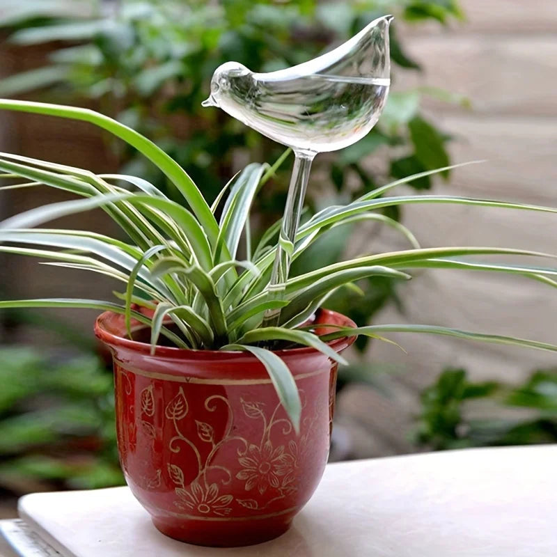 Decoração - Vasos e Plantas