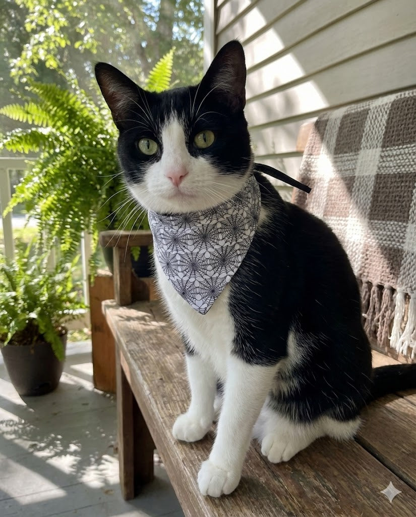 Bandana Pet Coleção Spider Mystic – Estampa Digital Teia de Aranha | Dupla Face | Ajustável e Confortável | Acessório Fashion para Cachorros e Gatos | Doca Express