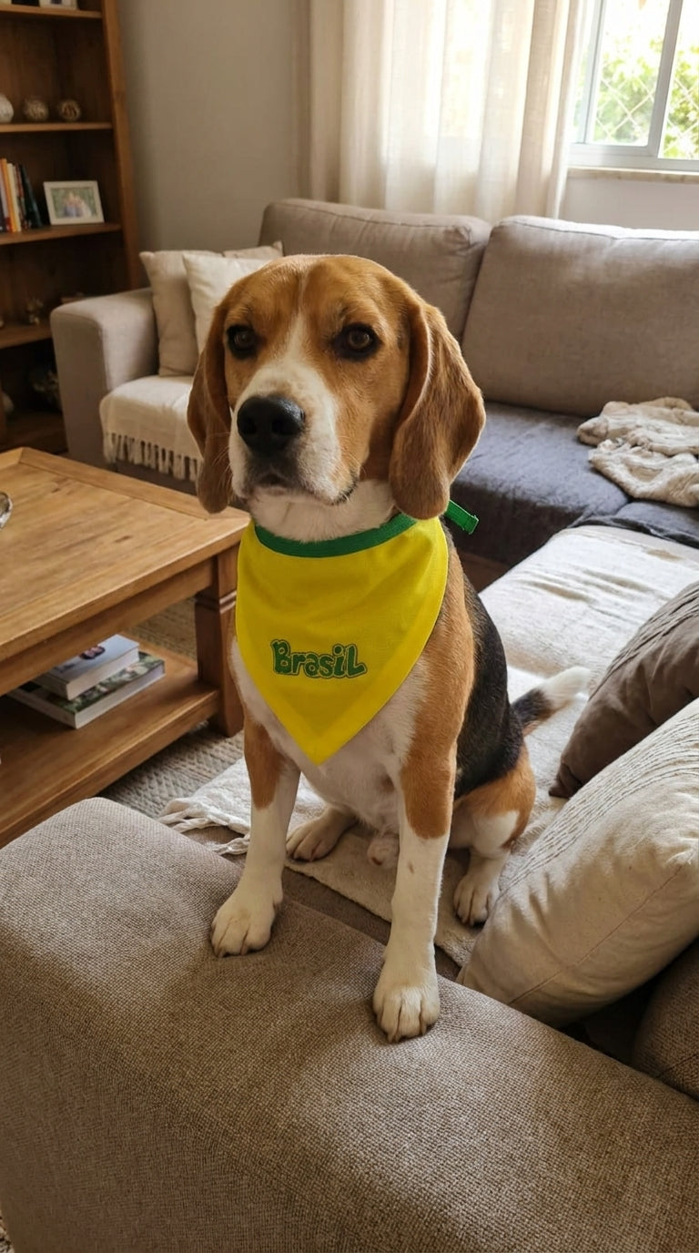 Bandana pet Brasil amarela bordada modelo Bordado Soft para cachorro e gato