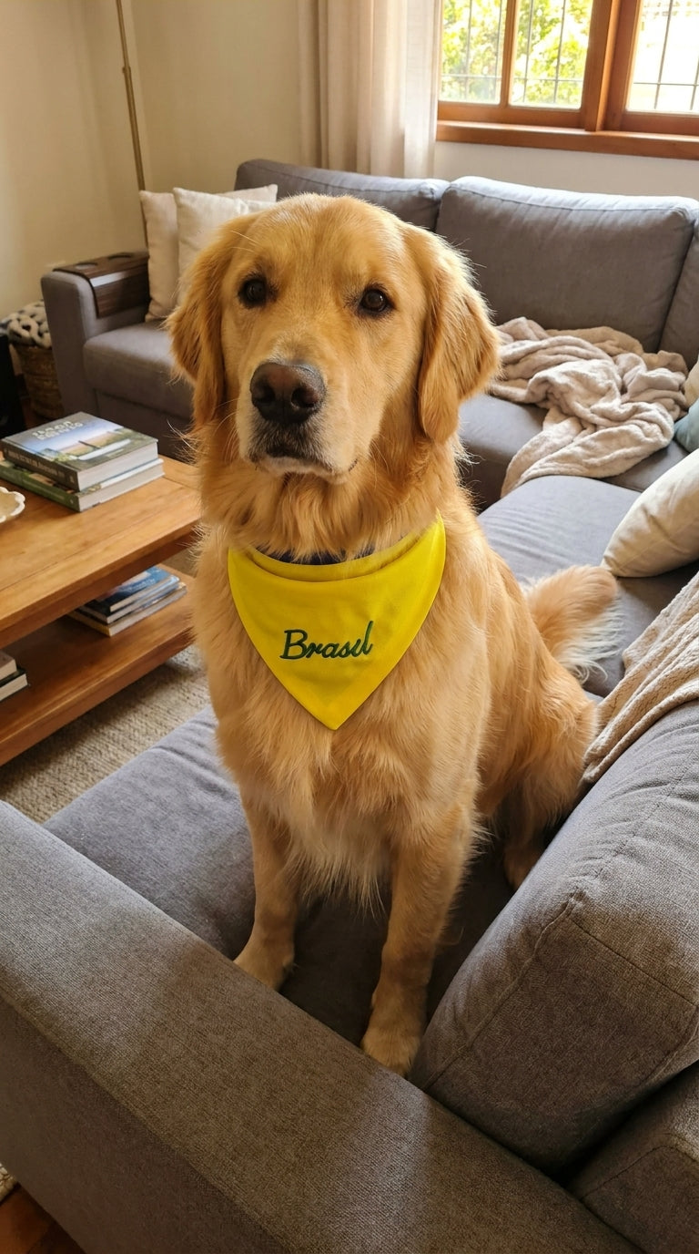 Bandana pet Brasil amarela bordada modelo Brasil Raiz para cachorro e gato
