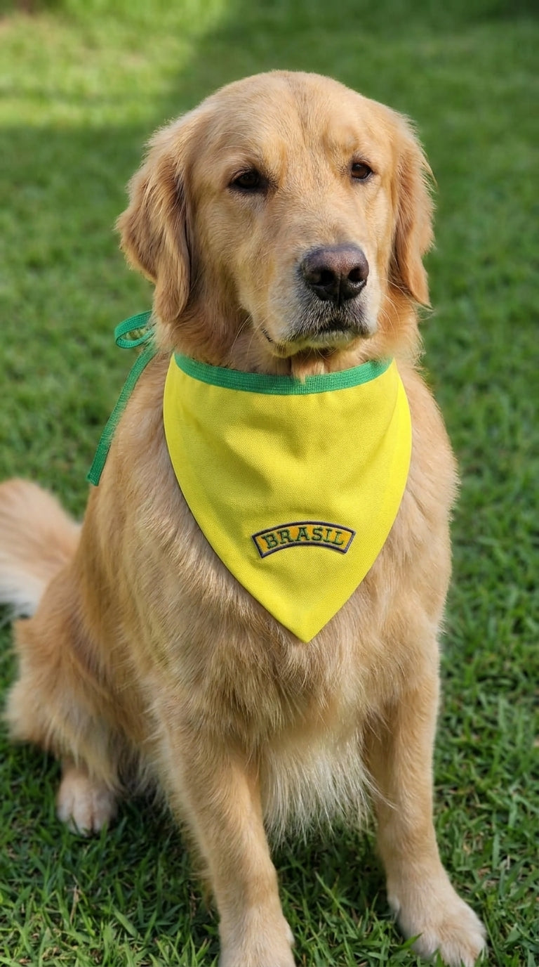 Bandana pet Brasil amarela bordada modelo Canarinho para cachorro e gato