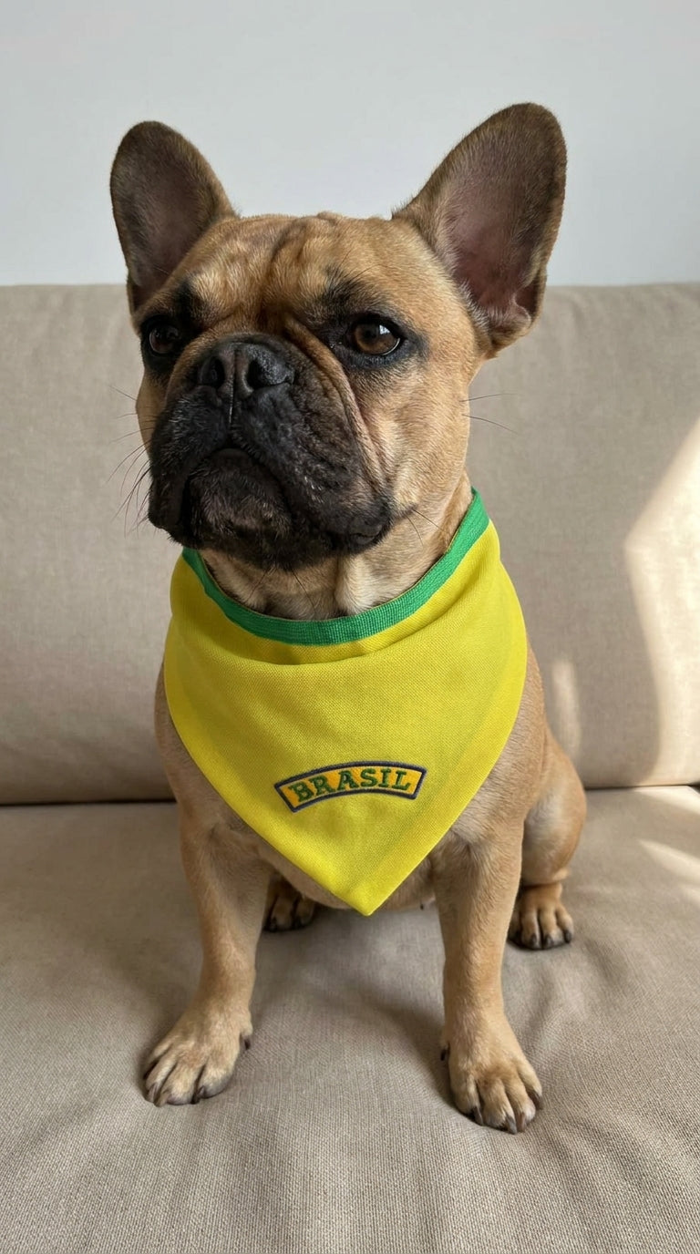 Bandana pet Brasil amarela bordada modelo Canarinho para cachorro e gato
