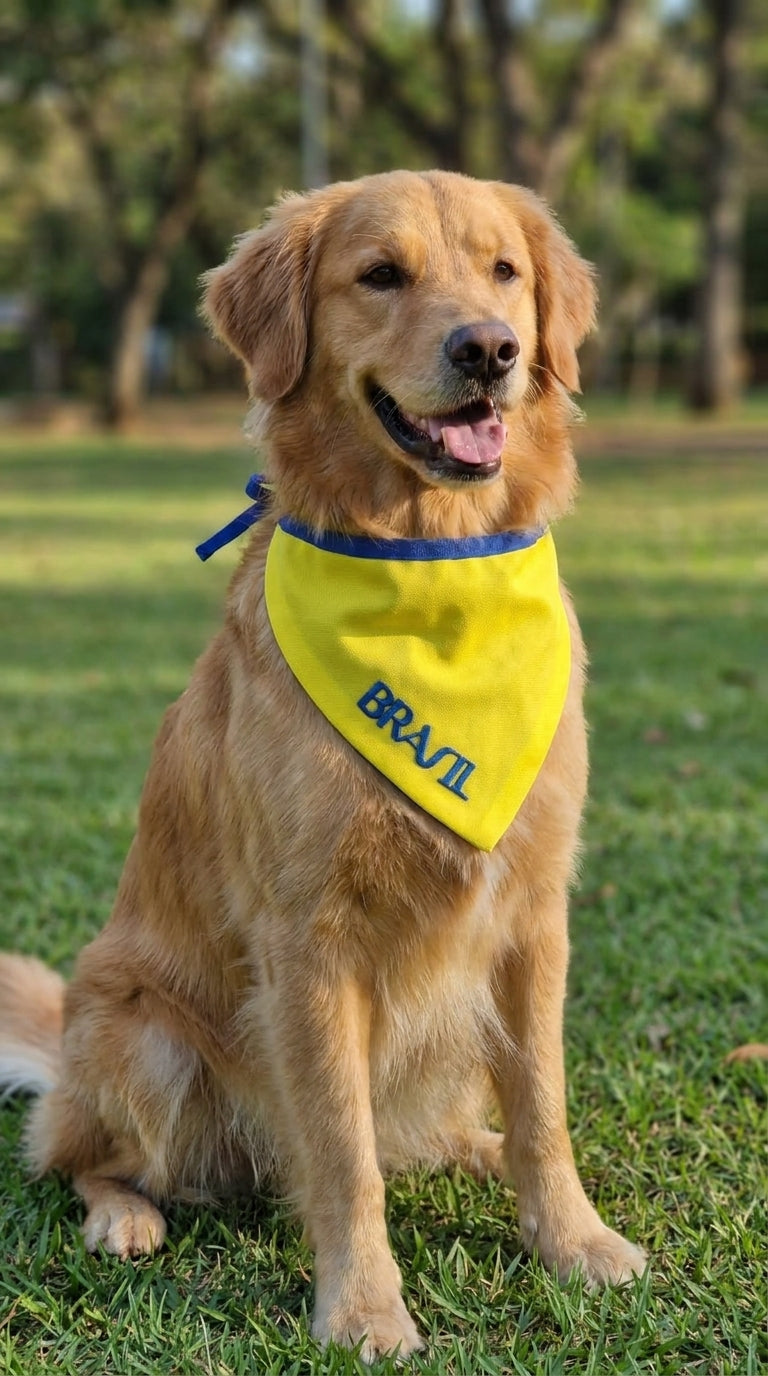 Bandana Pet Brasil Amarela com Detalhe Azul Bordada Modelo Azul Esportivo – Tamanhos P, M e G | Doca Express