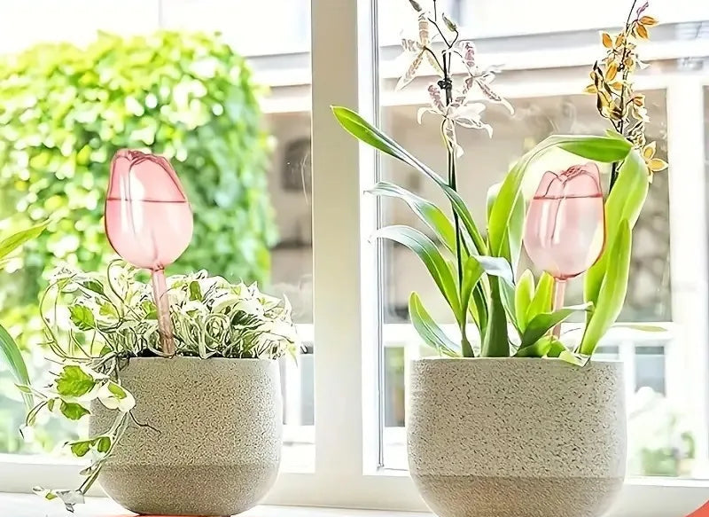 Decoração - Bolas de Irrigação para Plantas Naturais  Internas e Externas Fomato Tulipa Casa Jardim Terraço