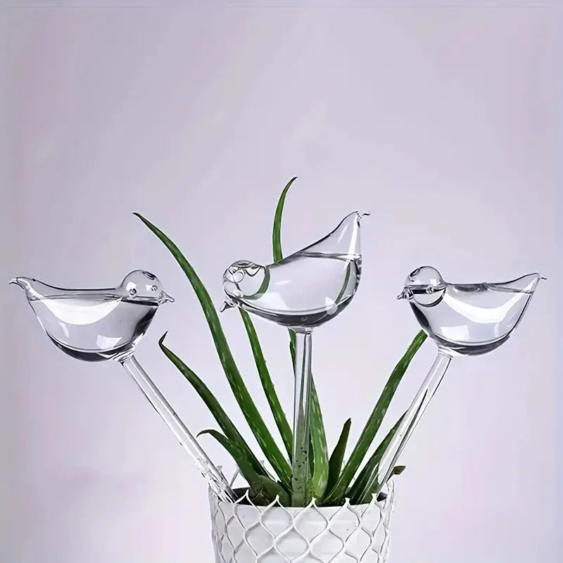 Decoração de Plantas Interiores Dispensador de Água Automático para Vasos de Plantas Naturais Ambiente Interno e Externo