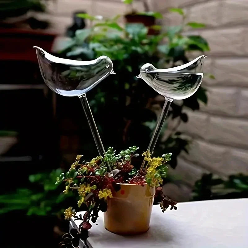 Decoração de Plantas Interiores Dispensador de Água Automático para Vasos de Plantas Naturais Ambiente Interno e Externo