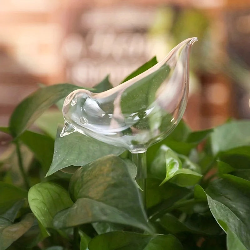 Decoração de Plantas Interiores Dispensador de Água Automático para Vasos de Plantas Naturais Ambiente Interno e Externo