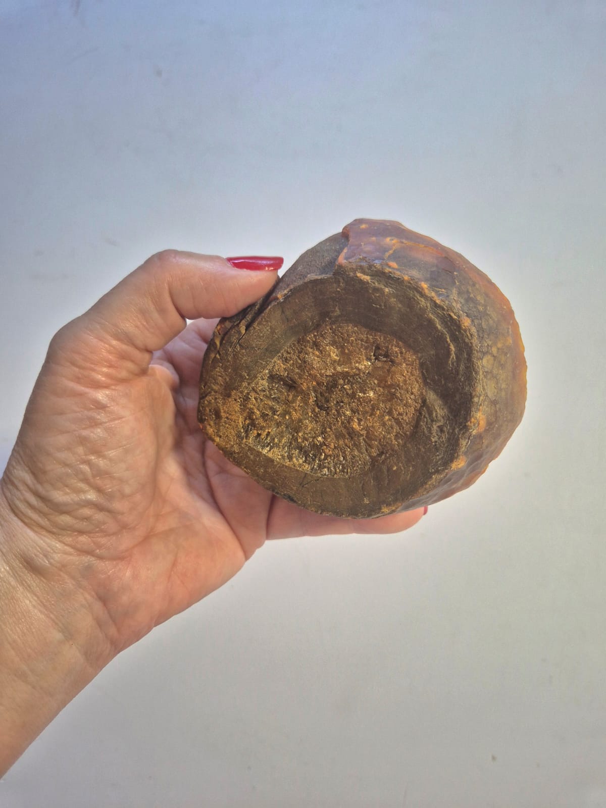 Placa de Ágata Marrom Natural • Peça Única para Decorar AmbientesPlaca de Ágata Marrom Natural • Peça Única para Decorar Ambientes - Doca Express Decoração