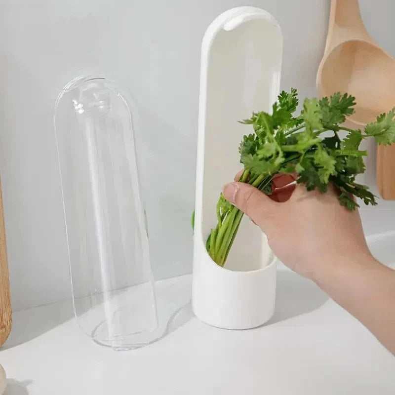 Recipientes para armazenamento de alimentos Cozinha Casa Utensílhos Domésticos e de Cozinha