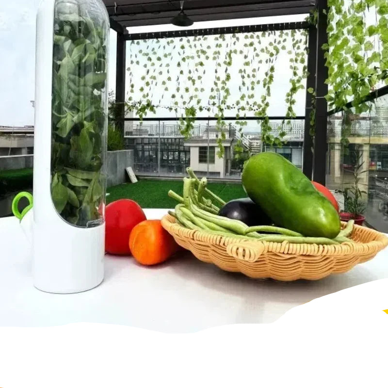 Recipientes para armazenamento de alimentos Cozinha Casa Utensílhos Domésticos e de Cozinha