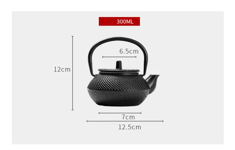 300ML  Tea Pot with Stainless Steel Infuser Cast Iron Teapot Tea Kettle for Boiling Water Oolong Tea